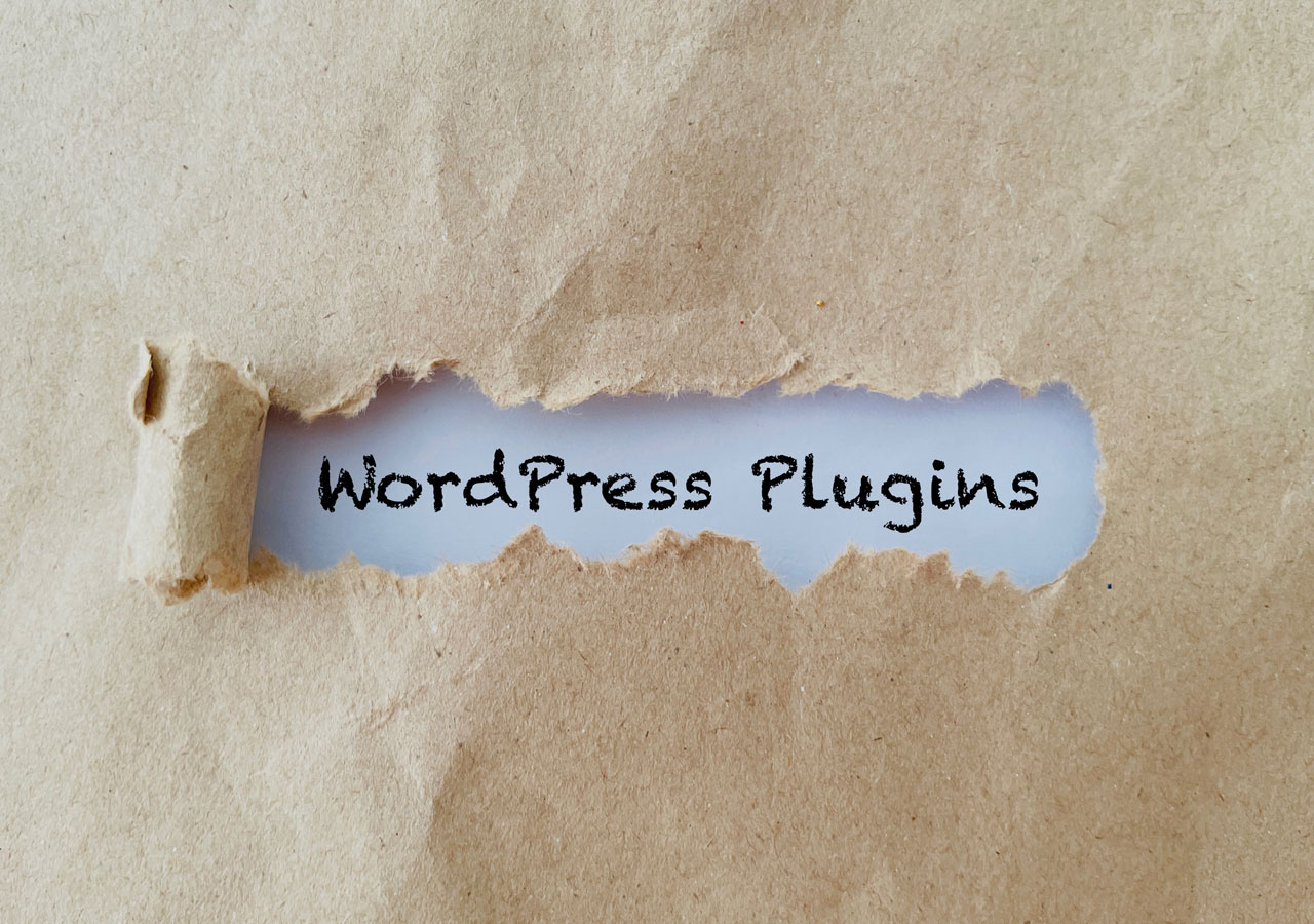 WordPress Plugins