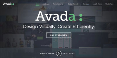 Avada Theme