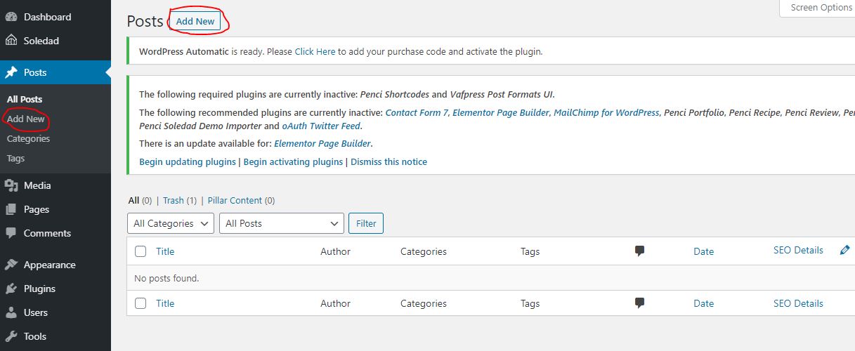 Wordpress Writing Post Step 4