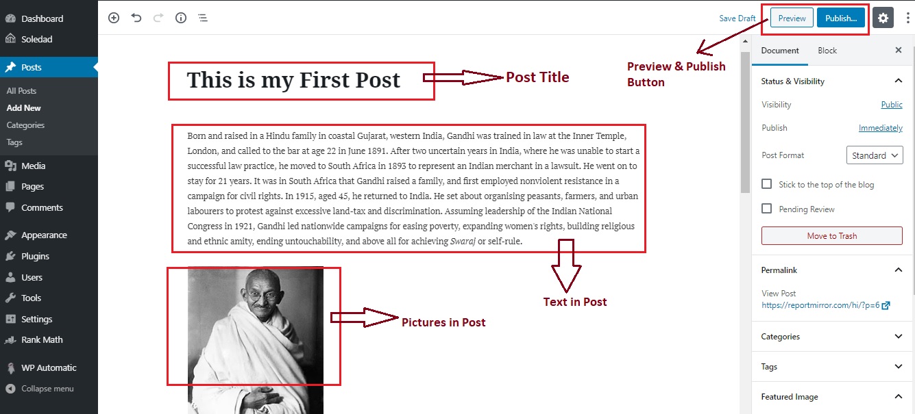 Wordpress Writing Post Step 5